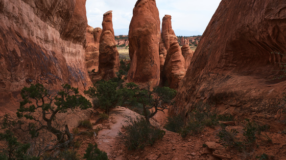 Arches National Park