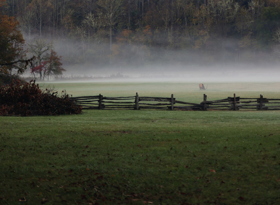 GREAT SMOKY MOUNTAINS NATIONAL PARK