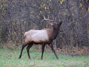 Great Smoky Mountains National Park