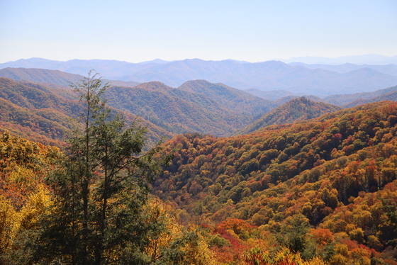 Great Smoky Mountains National Park
