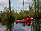 Okefenokee National WIldlife Refuge