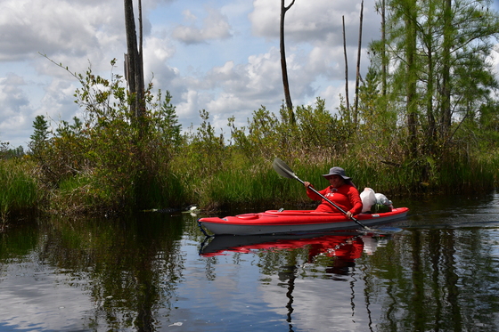 Okefenokee National WIldlife Refuge