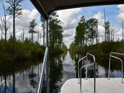 Okefenokee National WIldlife Refuge