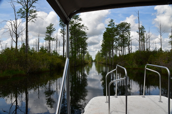 Okefenokee National WIldlife Refuge