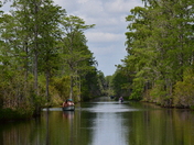 Okefenokee National Wildlife Refuge
