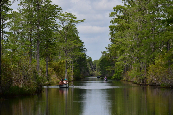 Okefenokee National Wildlife Refuge