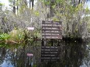 The Okefenokee National Wildlife Refuge