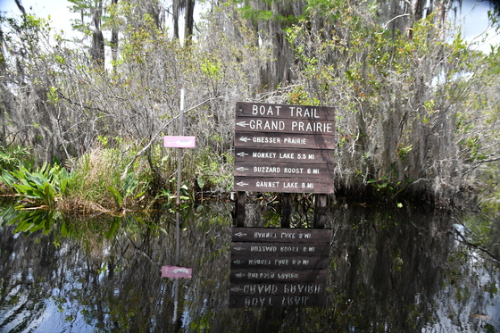 The Okefenokee National Wildlife Refuge