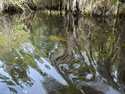 The Okefenokee National Wildlife Refuge