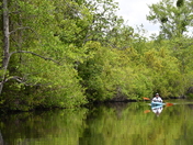 The Okefenokee National Wildlife Refuge