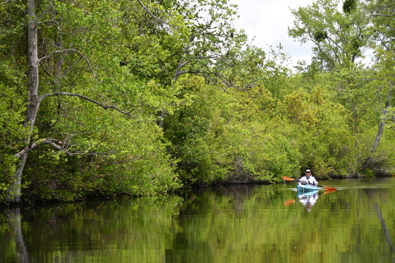 The Okefenokee National Wildlife Refuge