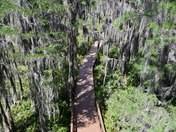 The Okefenokee National Wildlife Refuge