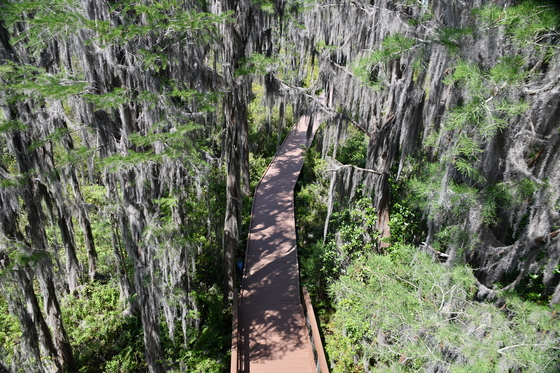 The Okefenokee National Wildlife Refuge