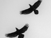 San Juan Island National Park