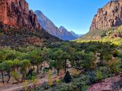 Zion National Park