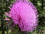 Patuxent Research National Wildlife Refuge and Visitor Center