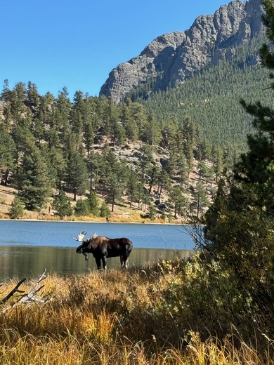 Rocky Mountain National Park