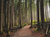 Rolley Lake Provincial Park