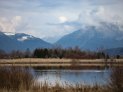 Winter at Willband Creek