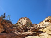Capitol Reef National Park