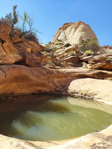 Capitol Reef National Park