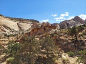 Capitol Reef National Park