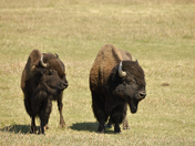 Grand Teton National Park