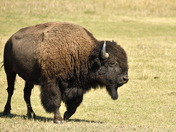 Grand Teton National Park