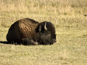 Grand Teton National Park