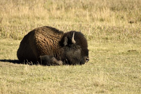 Grand Teton National Park