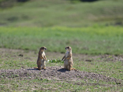 Badlands National Park