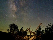 Eldorado National Forest