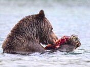 Lunch Time