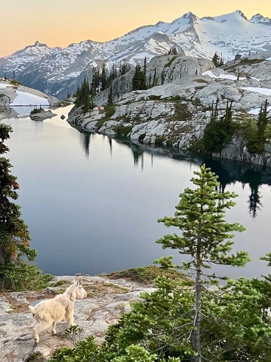 Okanogan-Wenatchee National Forest 