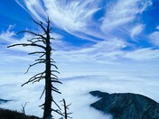 Angeles National Forest