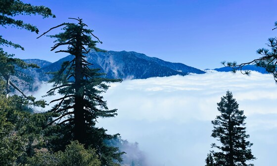 Angeles National Forest