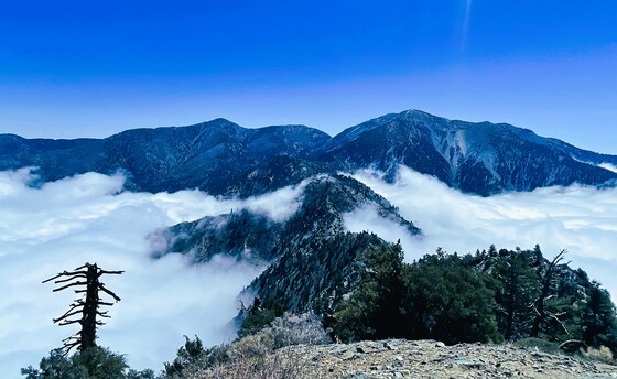  Angeles National Forest