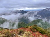  Angeles National Forest