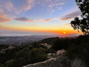 Los Padres national forest