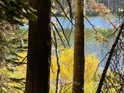 Inyo National Forest