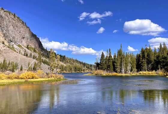 Inyo National Forest