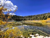 Inyo National Forest