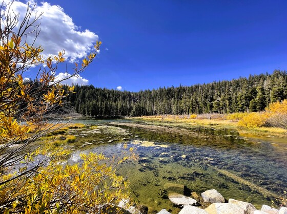 Inyo National Forest