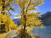 Inyo National Forest