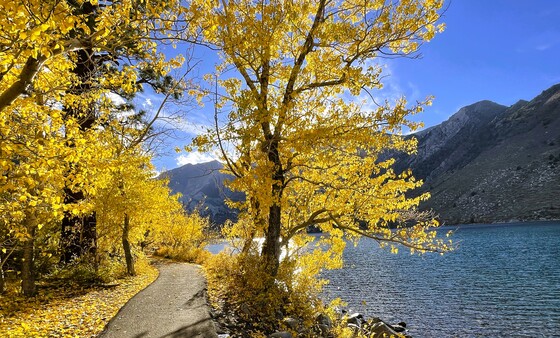 Inyo National Forest
