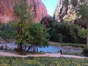Zion National Park