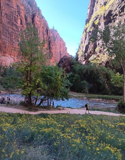 Zion National Park