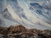 Bear guard in Powell Inlet, Nunavut