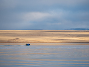 Zodiac in Pasley Bay, Nunavut