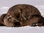 Grand Teton National Park